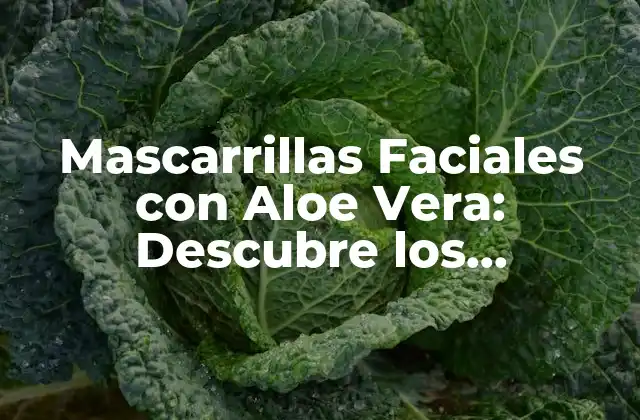 Mascarrillas Faciales con Aloe Vera: Descubre los Beneficios para Tu Piel