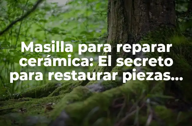Masilla para Reparar Cerámica: el Secreto para Restaurar Piezas Quebradas