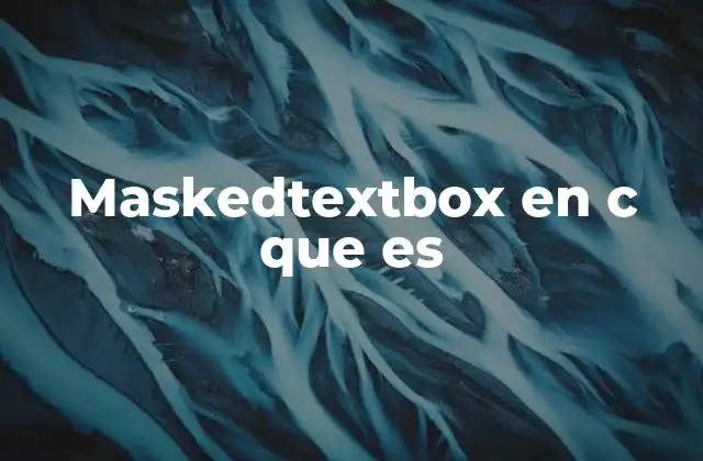 Maskedtextbox en C que es