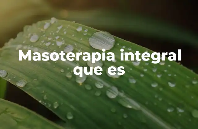 Masoterapia Integral que es