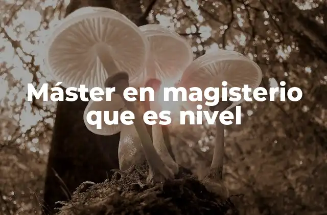 Máster en Magisterio que es Nivel