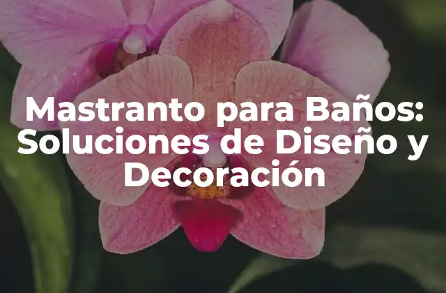Mastranto para Baños: Soluciones de Diseño y Decoración 2 Características de un Mastranto para Baños