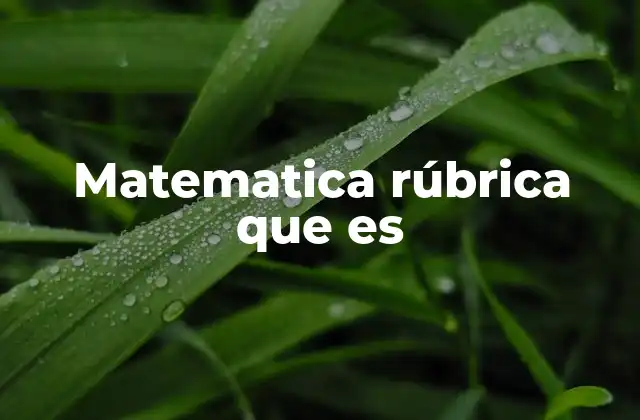 Matematica Rúbrica que es