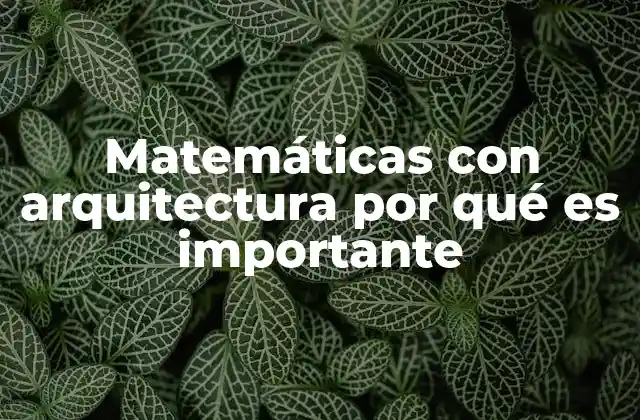 Matemáticas con Arquitectura por Qué es Importante