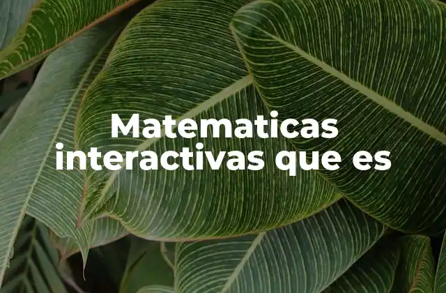 Matematicas Interactivas que es