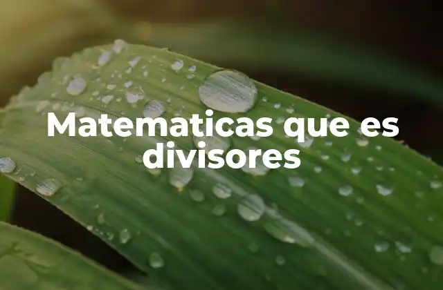 Matematicas que es Divisores 2 La importancia de los divisores en las matemáticas básicas