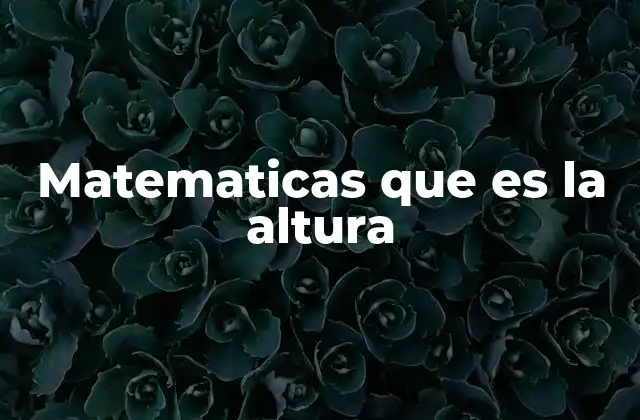 Matematicas que es la Altura 2 La importancia de la altura en la geometría