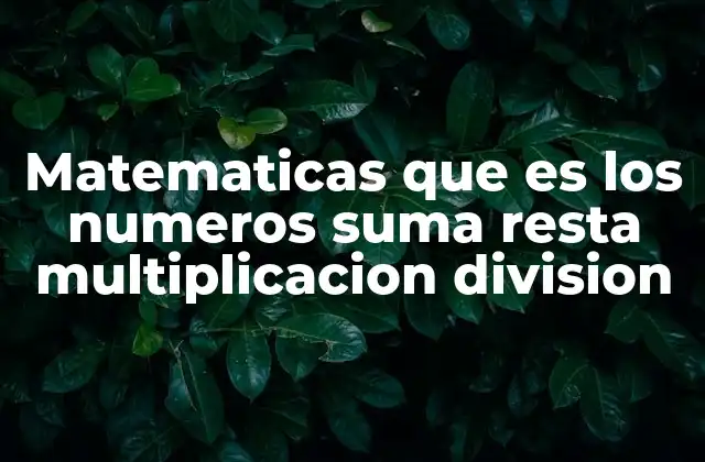 Matematicas que es los Numeros Suma Resta Multiplicacion Division