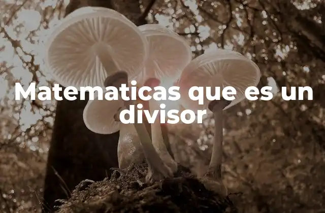 Matematicas que es un Divisor