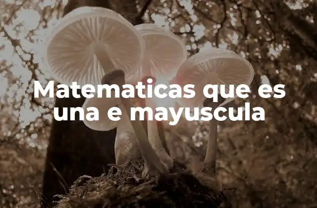 Matematicas que es una e Mayuscula