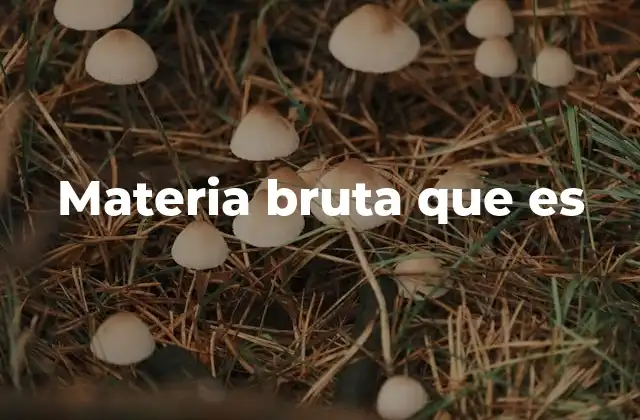 Materia Bruta que es
