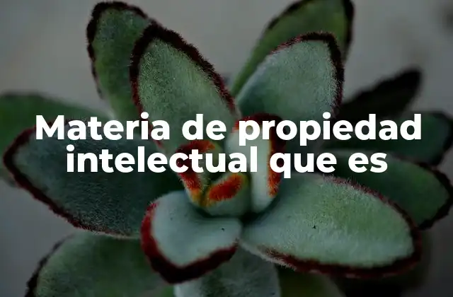 Materia de Propiedad Intelectual que es