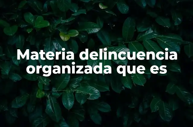 Materia Delincuencia Organizada que es