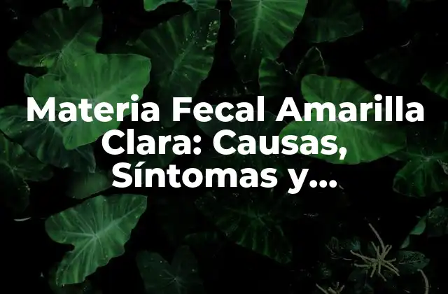 Materia Fecal Amarilla Clara: Causas, Síntomas y Tratamiento