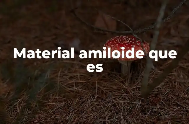Material Amiloide que es