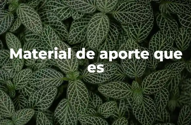 Material de Aporte que es