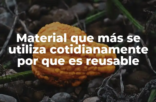 Material que Más Se Utiliza Cotidianamente por que es Reusable