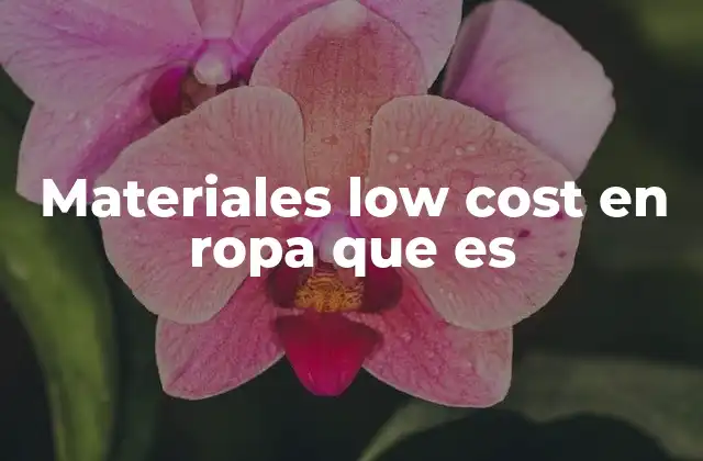 Materiales Low Cost en Ropa que es