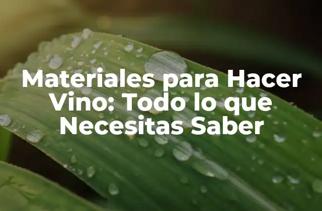 Materiales para Hacer Vino: Todo Lo que Necesitas Saber