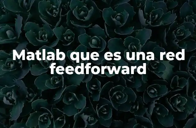 Matlab que es una Red Feedforward