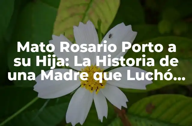 Mato Rosario Porto a Su Hija: la Historia de una Madre que Luchó por la Justicia