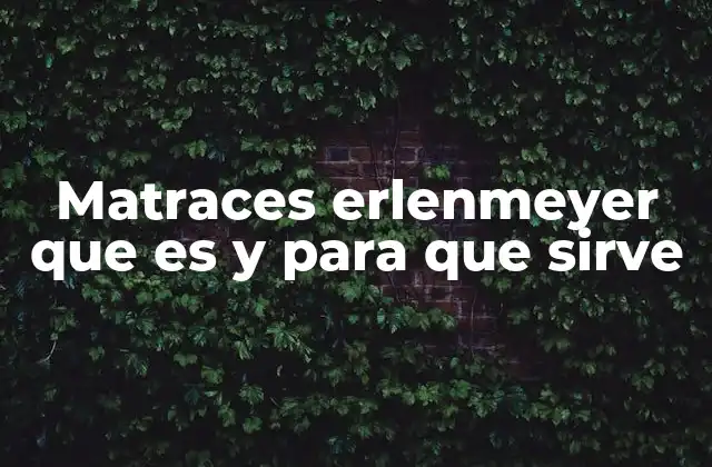 Matraces Erlenmeyer que es y para que Sirve