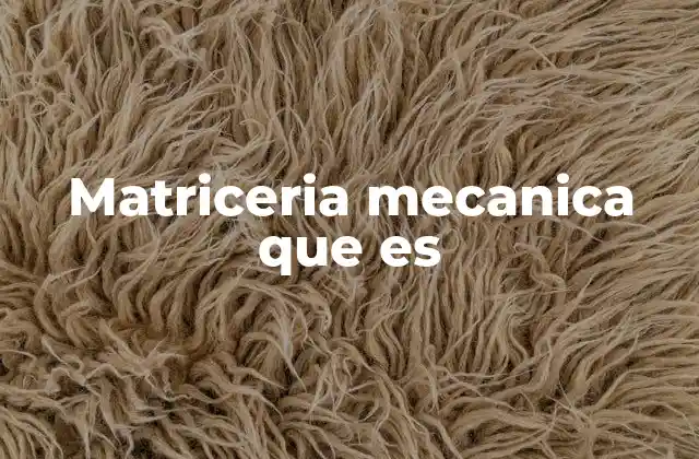 Matriceria Mecanica que es