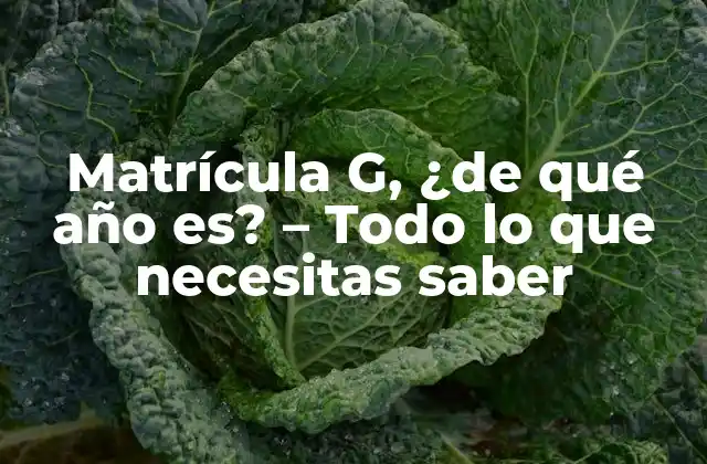 Orígenes de la Matrícula G