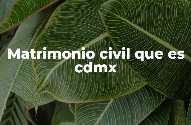 Matrimonio Civil que es Cdmx 2 El proceso legal para celebrar un matrimonio civil en la CDMX