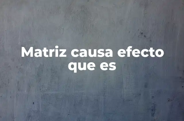 Matriz Causa Efecto que es