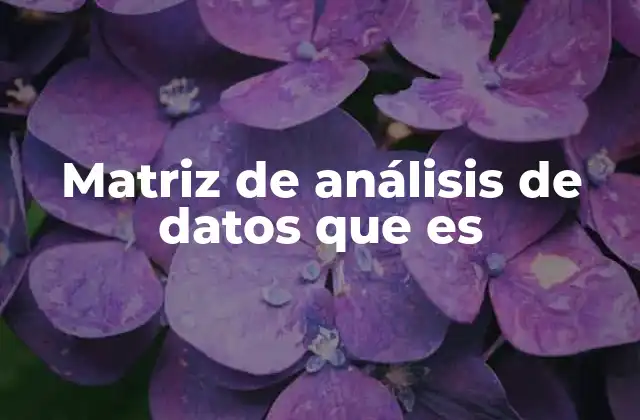 Matriz de Análisis de Datos que es