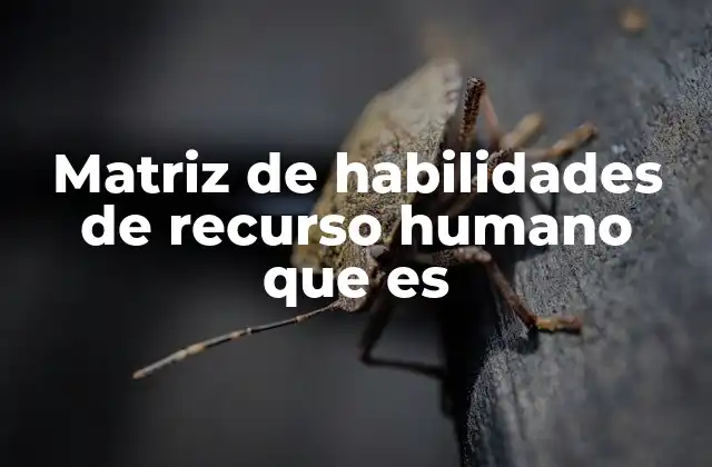 Matriz de Habilidades de Recurso Humano que es