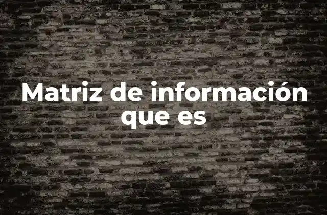 Matriz de Información que es