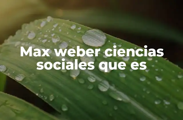 Max Weber Ciencias Sociales que es