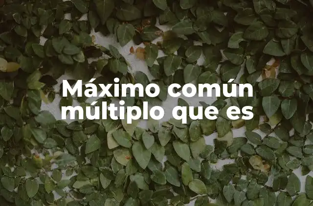 ¿Cómo se aplica en la vida cotidiana?