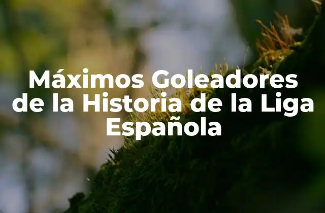 Máximos Goleadores de la Historia de la Liga Española