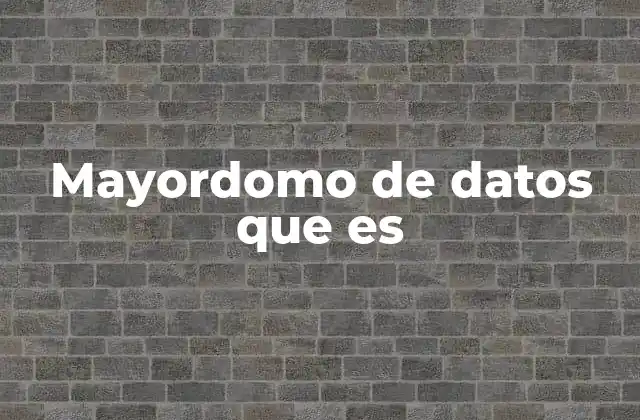 Mayordomo de Datos que es
