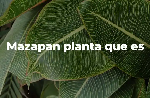 Mazapan Planta que es