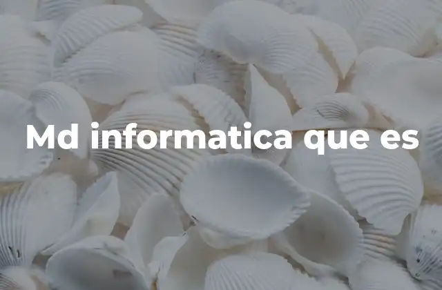 Md Informatica que es
