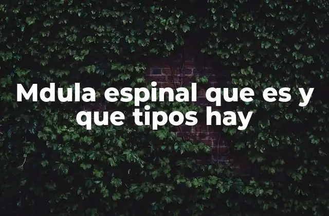 Mdula Espinal que es y que Tipos Hay