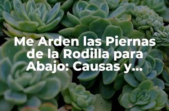 Me Arden las Piernas de la Rodilla para Abajo: Causas y Soluciones
