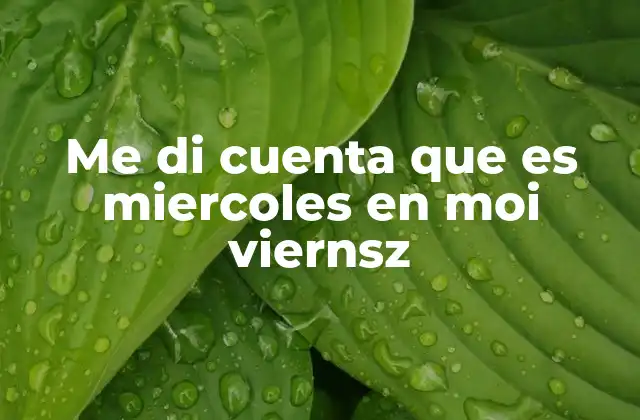 Me Di Cuenta que es Miercoles en Moi Viernsz