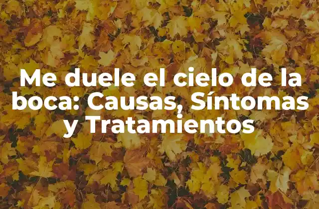 Me Duele el Cielo de la Boca: Causas, Síntomas y Tratamientos