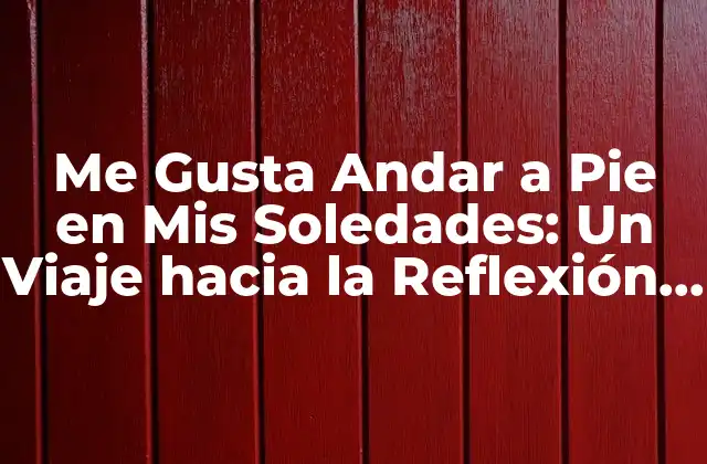 Me Gusta Andar a Pie en Mis Soledades: un Viaje hacia la Reflexión y la Conectividad