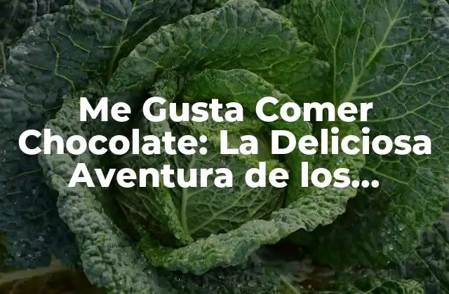 Me Gusta Comer Chocolate: la Deliciosa Aventura de los Amantes Del Cacao