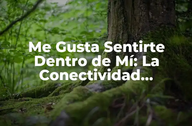 Me Gusta Sentirte Dentro de Mí: la Conectividad Emocional en la Relación de Pareja