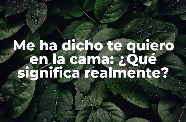 Me Ha Dicho Te Quiero en la Cama: ¿qué Significa Realmente?