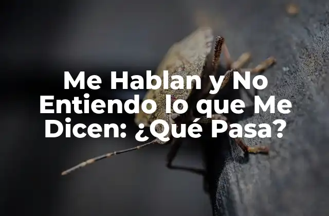 Me Hablan y No Entiendo Lo que Me Dicen: ¿qué Pasa?