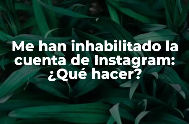 Me Han Inhabilitado la Cuenta de Instagram: ¿qué Hacer?