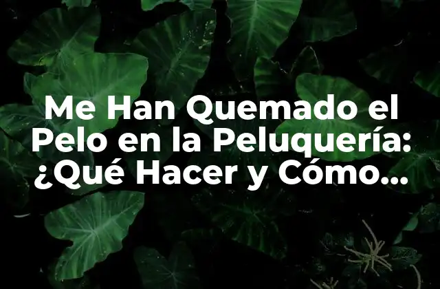 Me Han Quemado el Pelo en la Peluquería: ¿qué Hacer y Cómo Prevenirlo?